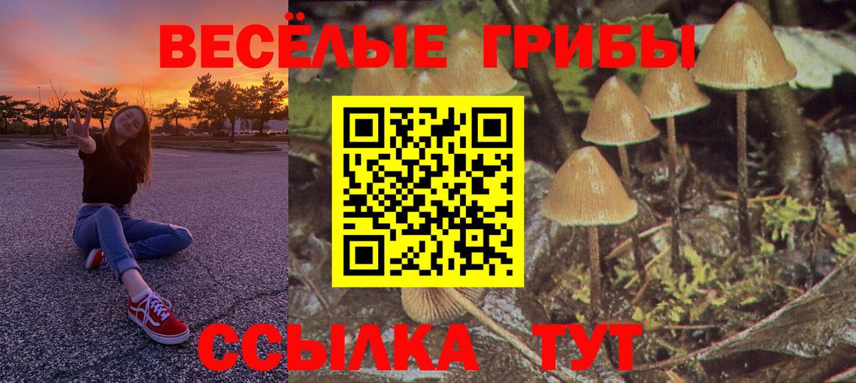 Псилоцибиновые грибы прущие грибы Спасск-Дальний