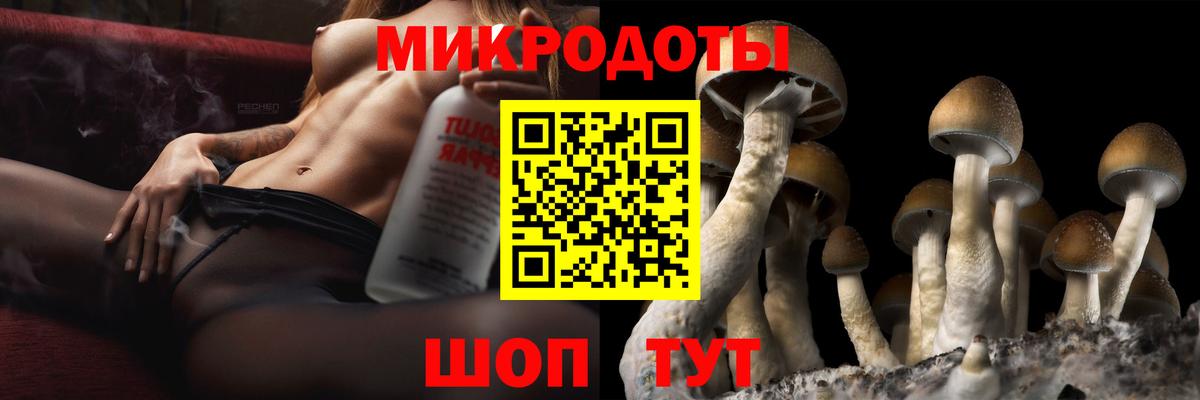 APVP Спасск-Дальний